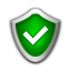 dedicated ip